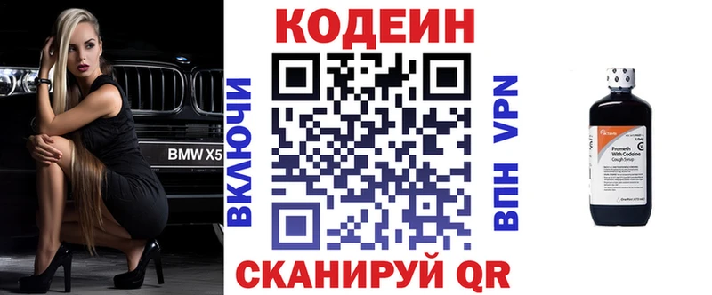 купить закладку  Петровск-Забайкальский  Кодеин Purple Drank 